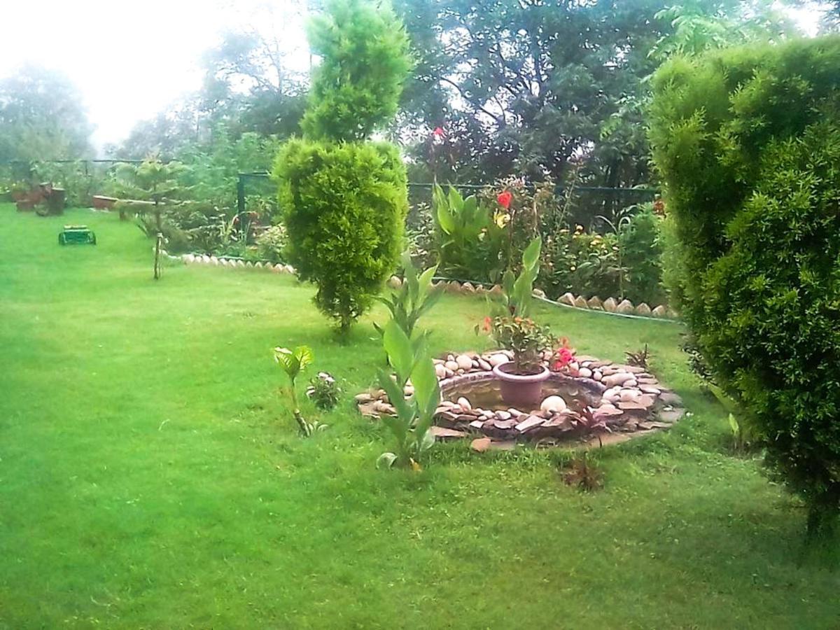 Wildleaf Kasauli Valley Homz Bed & Breakfast Bagian luar foto