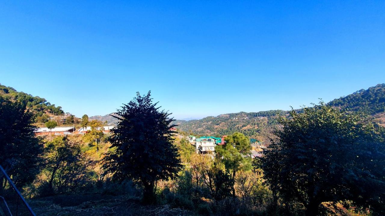 Wildleaf Kasauli Valley Homz Bed & Breakfast Bagian luar foto