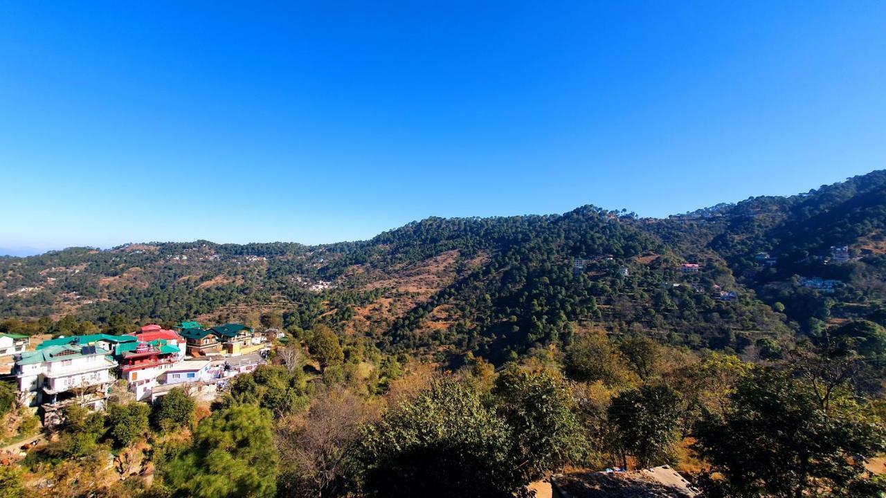 Wildleaf Kasauli Valley Homz Bed & Breakfast Bagian luar foto